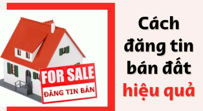 Đăng tin bán đất