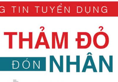 Công ty bđs tuyển dụng